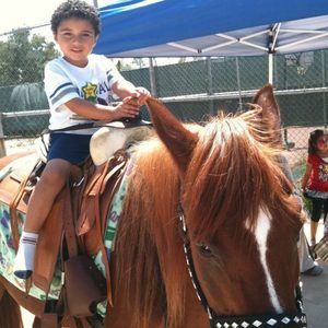 Meet your Posher, Hamzah